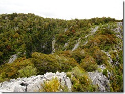 IMG_5255 IMG_5255