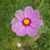 DSC02135.JPG