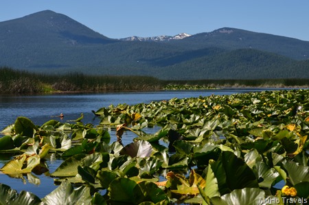 Crystal Creek Kayak (67)