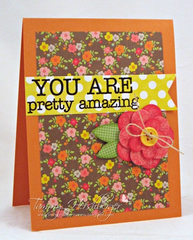 [You%2520Are%2520Pretty%2520Amazing%2520by%2520Tammy%2520Hershberger%255B6%255D.jpg]