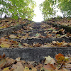 dsc03944.jpg
