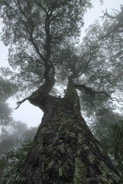 [IMG_2631%255B7%255D.jpg]