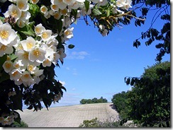 mei-juni 201127