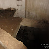 dsc04983.jpg