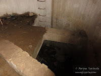 dsc04983.jpg