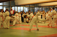 IMG_0559.jpg