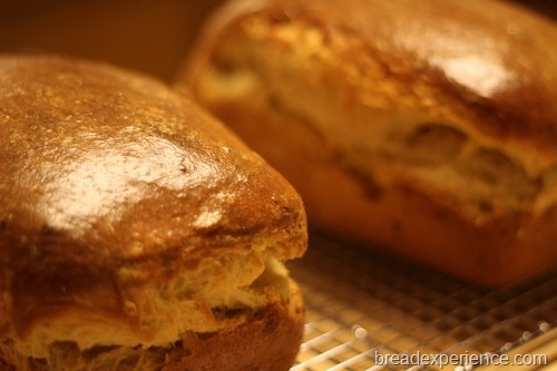 sourdough-brioche-babka047