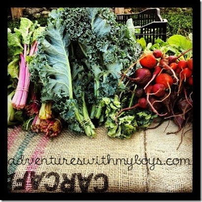 freshveggies