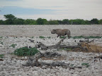Etosha Nationalpark
