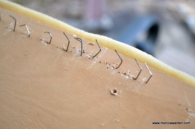 DSC_0259 DSC_0259