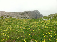 IMG_1335.JPG