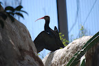 DSC_0324.JPG