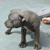 DSC08471.JPG