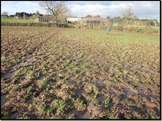 A gloopy field by Yew Tree Farm