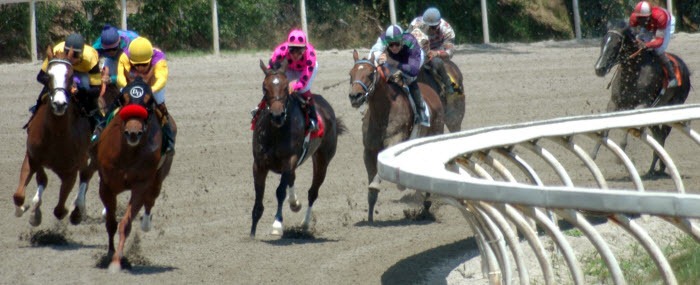 [horse%2520race%2520700x285%2520Photoxpress_722932%255B6%255D.jpg]