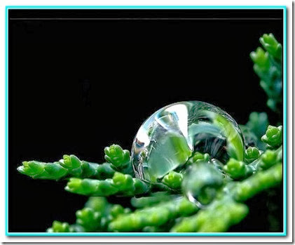 Gota de jovialidade Gota de jovialidade