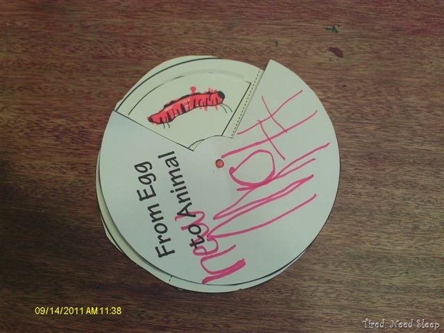 [butterflyunit101.jpg]