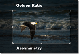 Gold Ratio cropping overlay in lightroom