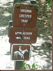 2011_0718VIRGINIA_CREEPER0014 2011_0718VIRGINIA_CREEPER0014