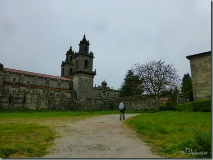P1030804 P1030804