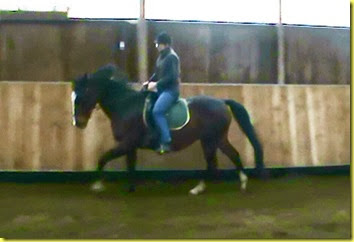 Galopp1-alt