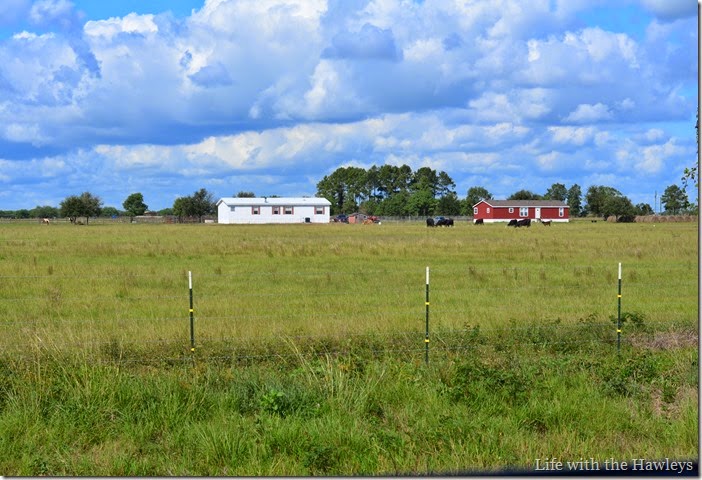 DSC_0535 DSC_0535