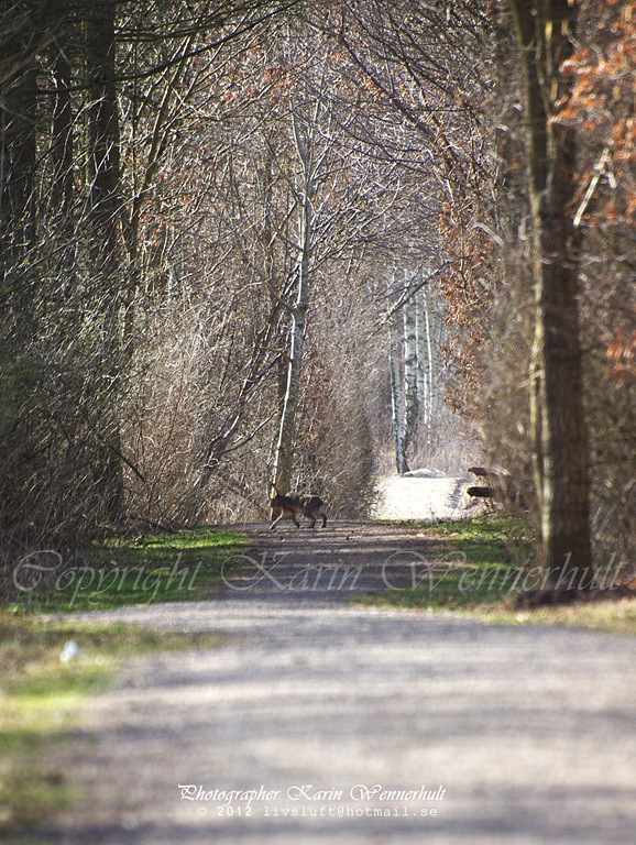 [P1012826-001RCvtnm3.jpg]