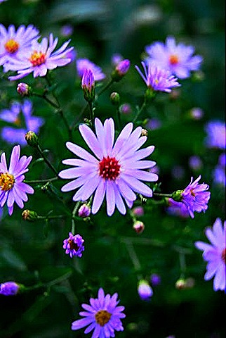 [DSC_0374_edited-1%255B4%255D.jpg]