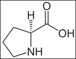 156px-L-Prolin_-_L-Proline.svg