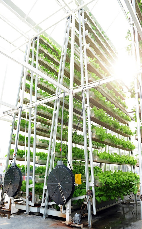 skygreens-vertical-farm-2 skygreens-vertical-farm-2