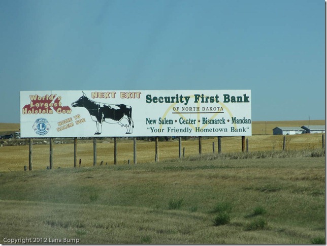 World's Largest HOLSTEIN Cow--recognize.