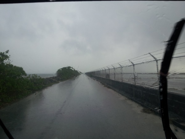 20130222_074649.jpg 20130222 074649