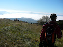 P1020307.jpg