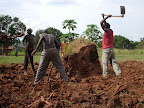 Workmen removing one of 13 termite mounds from the property