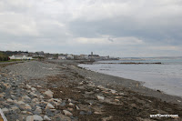 IMG_8025.JPG Photo