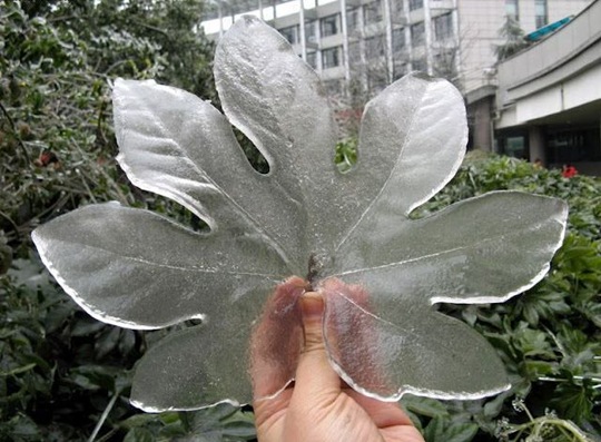 [viral-picdump-pics-16%255B2%255D.jpg]