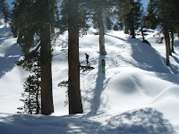 IMAGE_43C9CA12-A99D-44CA-99A8-75BB3B4EAEFE.JPG Photo