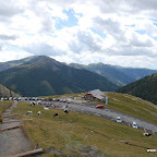 DSC_2733.JPG