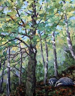 Badgers Castle Woods Llandeilo