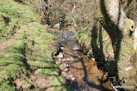 IMG_6025.JPG Photo