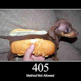 405.jpg 405.jpg