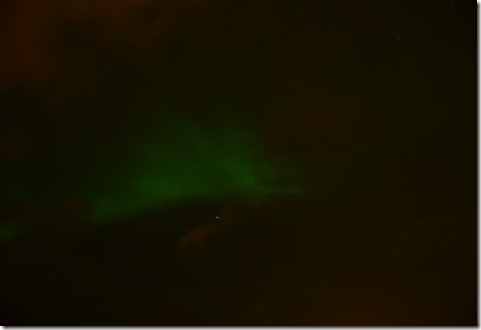 DSC_3646 DSC_3646