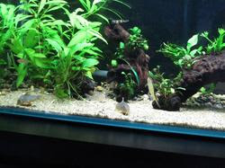 aqa20120224 006.jpg