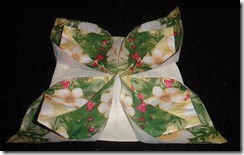 Dobradura de guardanapo