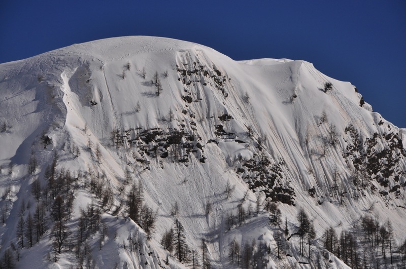 DSC_7645.JPG DSC 7645