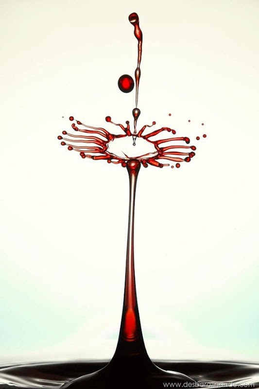 liquid-drop-art-gotas-caindo-foto-velocidade-hora-certa-desbaratinando (236) liquid-drop-art-gotas-caindo-foto-velocidade-hora-certa-desbaratinando (236)