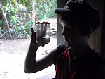 Insect juice? the Marimbus, Chapada Diamantina, Brazil