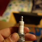IMGP1121.JPG