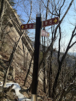 IMG_0201.jpg Photo