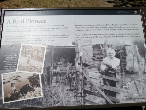 A Real Pioneer